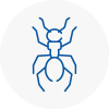 Ant Removals In Droitwich