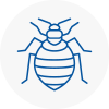 Bed Bug Extermination In Droitwich