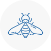 Bee Nest Removal Droitwich
