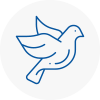 Bird Prevention Droitwich