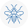 Droitwich Hornet Nest Removals