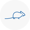 Mice Exterminators In Droitwich