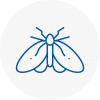 Moth Control Specialists In Droitwich