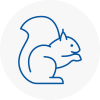 Droitwich Rodent Removals
